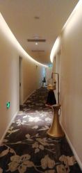 -东英经典SKIN&SPA