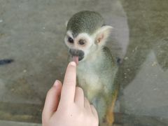 -石家庄市动物园