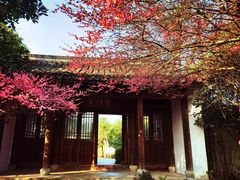 -西溪国家湿地公园