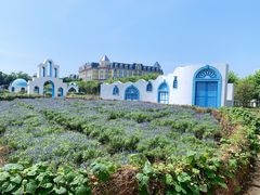 -百万葵园