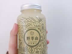 -野萃山·潮汕厚果汁(十亩地店)