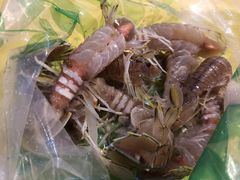 -老字号蛇口德记烧腊饭店·海鲜加工