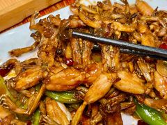 -满堂春特色餐馆