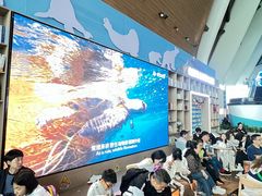 -抱抱地球咖啡馆(国家海洋博物馆店)