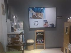 -御宝贝·A梦猫科宠物医院(国际猫友好医院)
