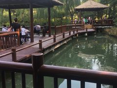 -圩墩遗址公园