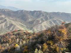 -中华福寿山