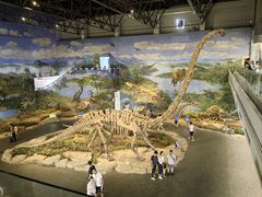 -自贡恐龙博物馆