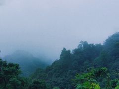 -龙窝子