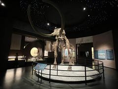 -呼伦贝尔民族博物馆