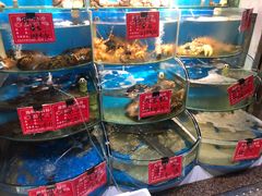 水产区-北戴河庆山饭店·海鲜砂锅粥(北戴河黑石路店)