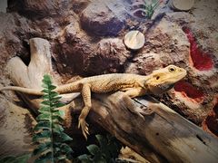 -长沙友阿奥特莱斯