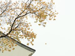 -老门东历史文化街区