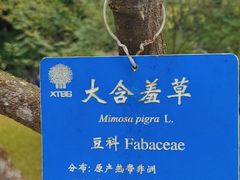 -中国科学院西双版纳热带植物园