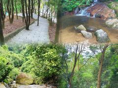 -阳台山森林公园