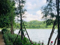 -南国桃园旅游度假区