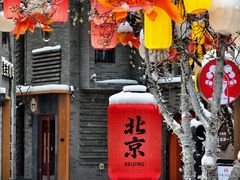 -龙湖星悦荟(颐和店)