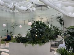 -大树餐厅(环球港店)