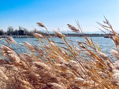 -野鸭湖国家湿地公园