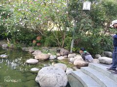 -活水公园