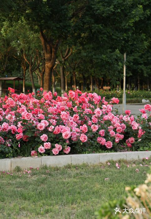 南海子公园图片