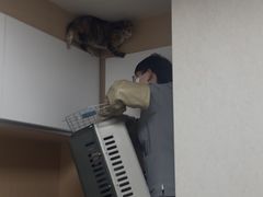 -谐和益家动物医院·免疫绝育·血液透析·宠保定点医院(高新伊藤分院)