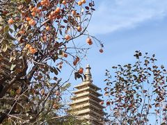 -北京石刻艺术博物馆(五塔寺)