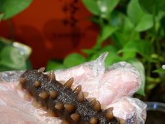 -棒棰岛辽参(长宁旗舰店)