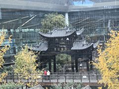 -星巴克(成都天府机场2店)