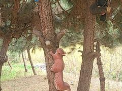 -西部长青自然儿童乐园