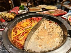 -蜀大侠火锅(建设路第五大道店)