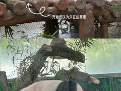 -广州动物园