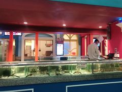-美食小镇·观赏珍稀鸟类·长隆熊猫酒店