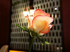 -栾氏荟(柳园店)