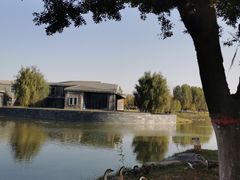 -西安浐灞国家湿地公园
