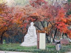 -南京古林公园
