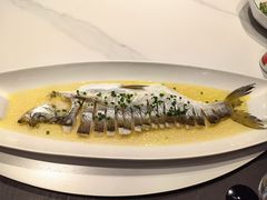 -至尊鲨鱼·原烹海鲜·新浙菜(拱宸桥店)