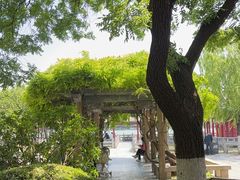 -济南大明湖景区