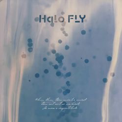 -Halo FLY运动空间