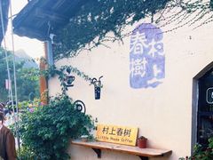 -村上春树
