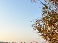 -长沙滨江文化园