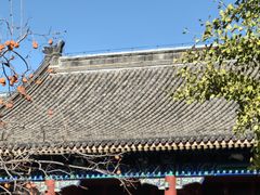 -北京石刻艺术博物馆(五塔寺)