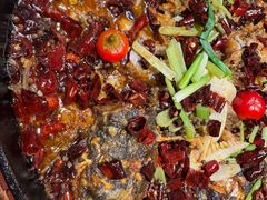 -老板恋上鱼(恒隆广场店)