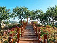 -羊亭河湿地公园