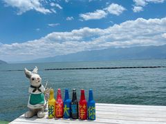-大理洱海