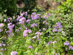 -OCT华侨城·北京