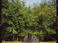 -深圳国际园林花卉博览园