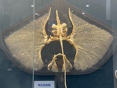 -大连自然博物馆·地球展厅