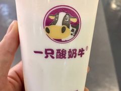 -一只酸奶牛(百联南岸上海城店)