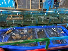 -蓝湾碧波·老字号·疍家非遗海上餐厅
